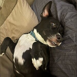 Meet your Posher, Kris